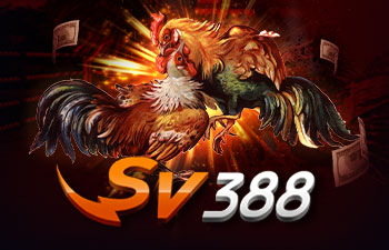 แทงไก่ชน SV388